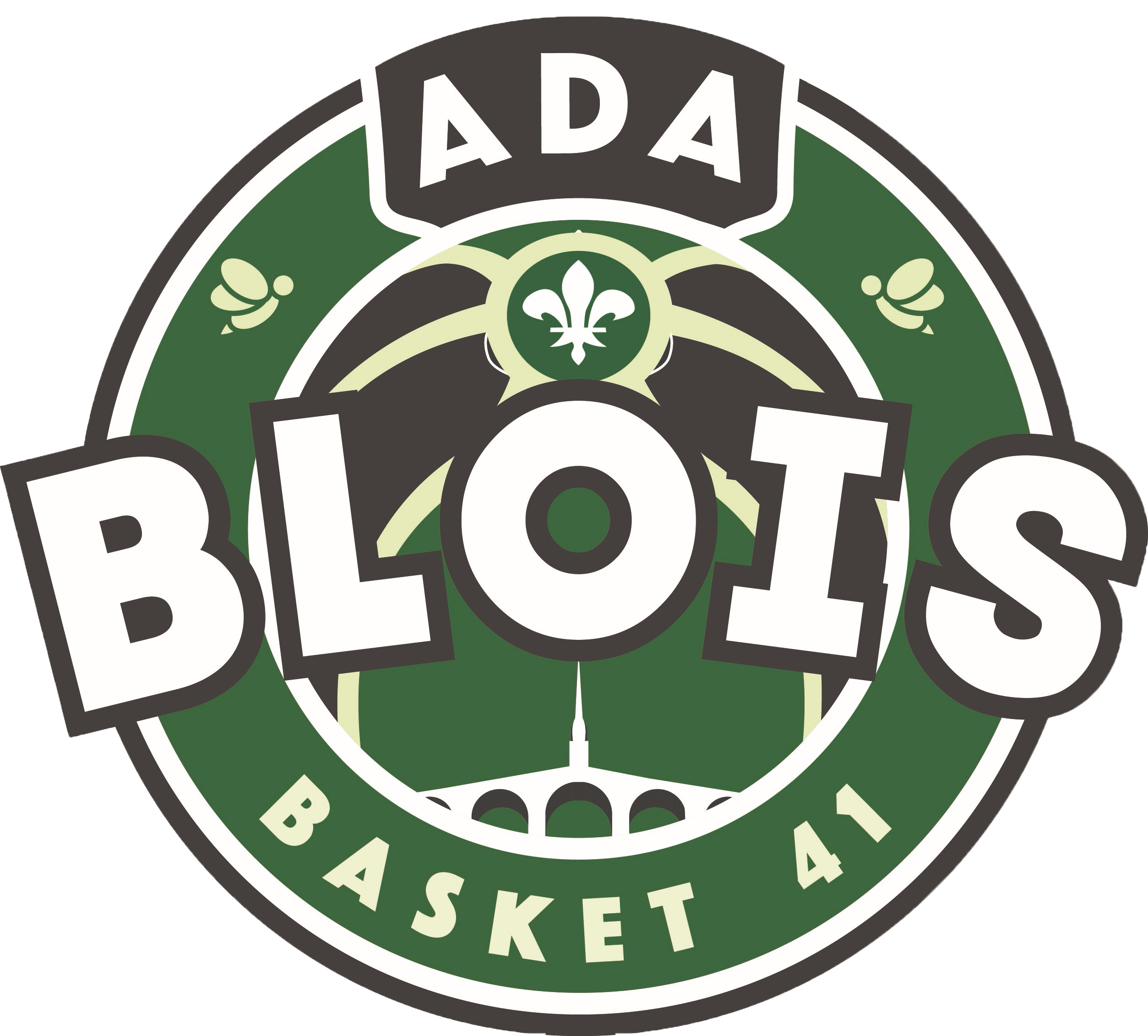 logo de l'équipe : Blois